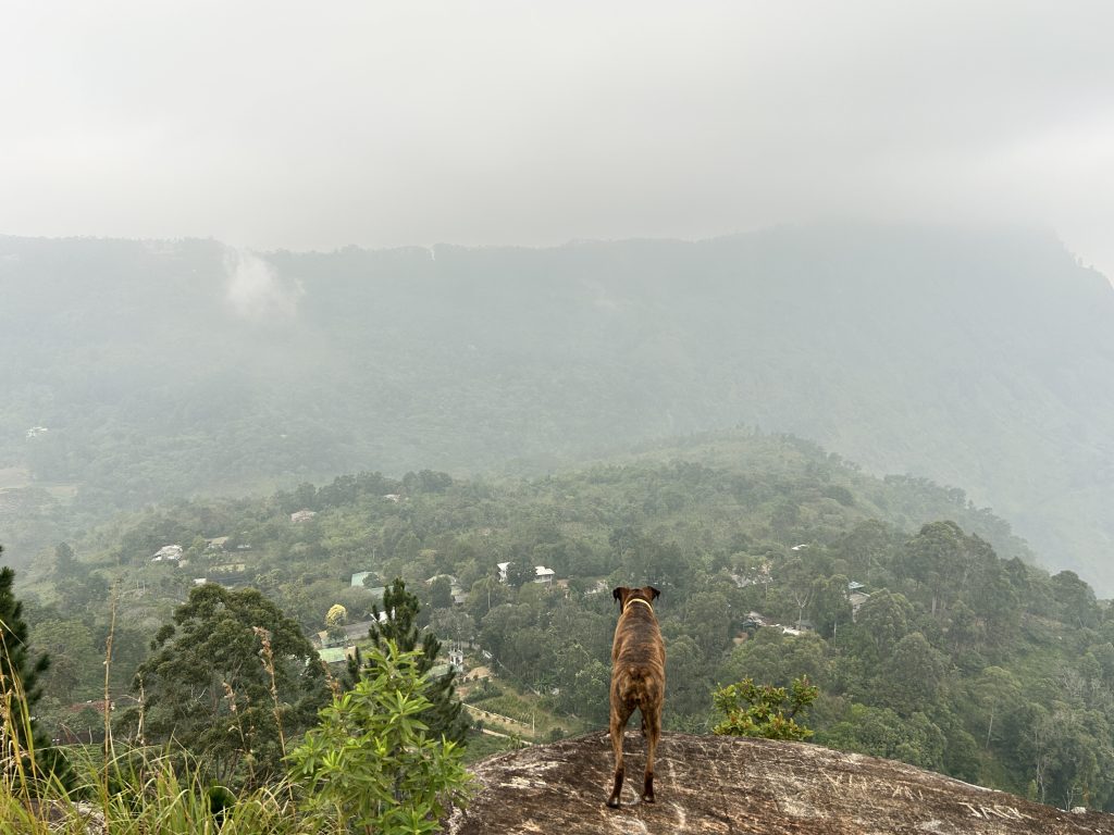 Batu atop Eagle Rock