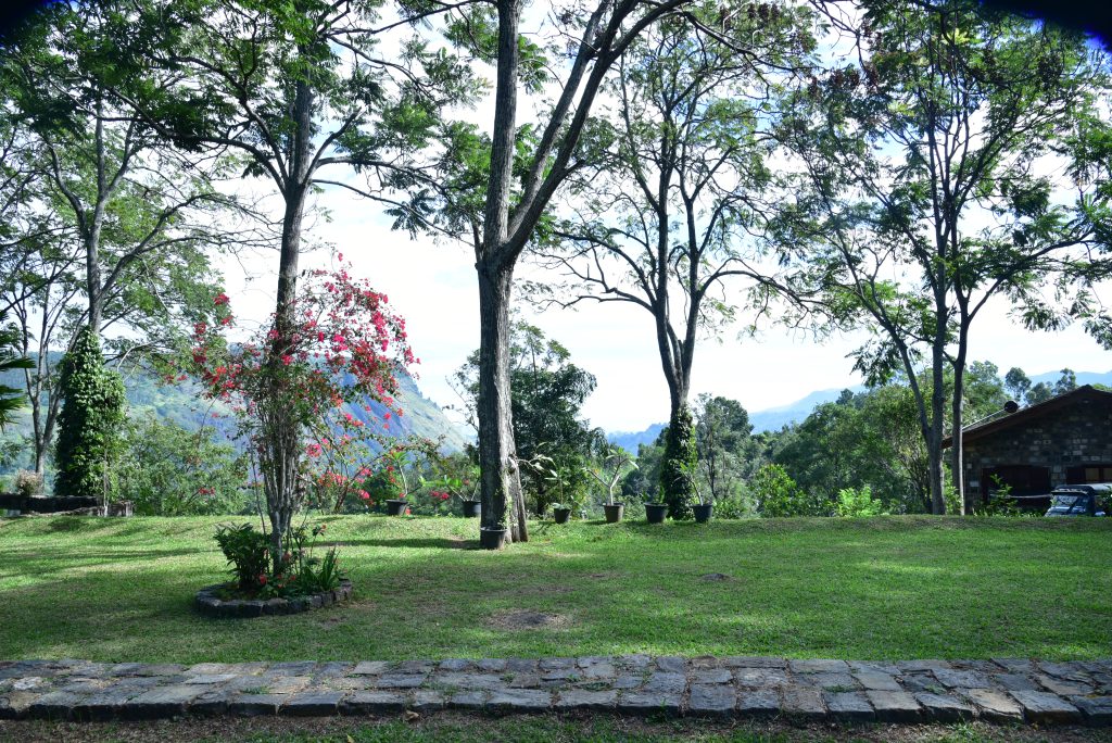 Ella Rock View from Lawns