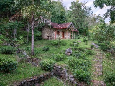 Kos Cottage walkway to Bungalow