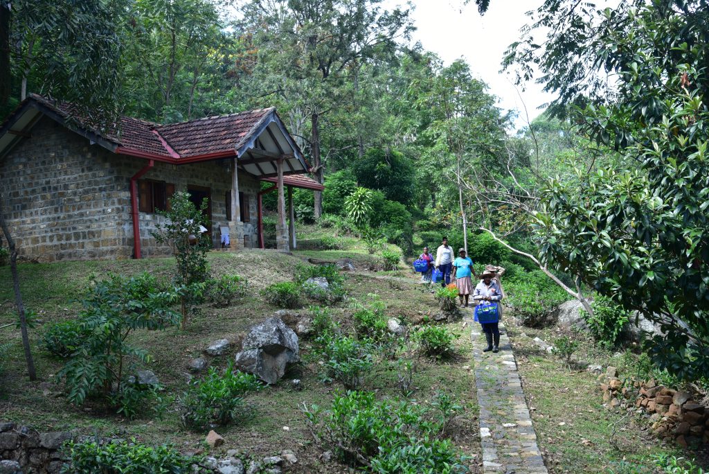 Tea Ladies passing Kos Cottage