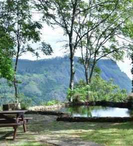Ella Rock View from Pool Terrace