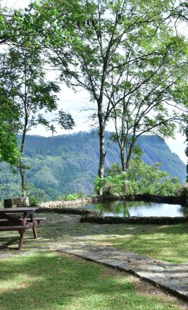 Ella Rock View from Pool Terrace