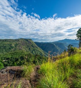 Ella Rock and Ella Gap from Eagle Rock
