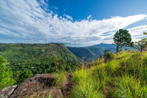Ella Rock and Ella Gap from Eagle Rock