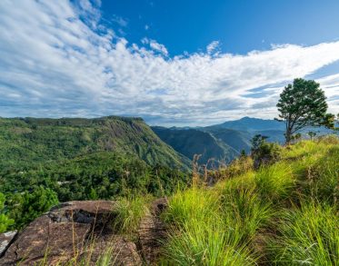 Ella Rock and Ella Gap from Eagle Rock