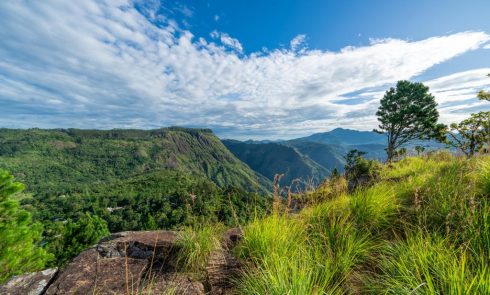 Ella Rock and Ella Gap from Eagle Rock