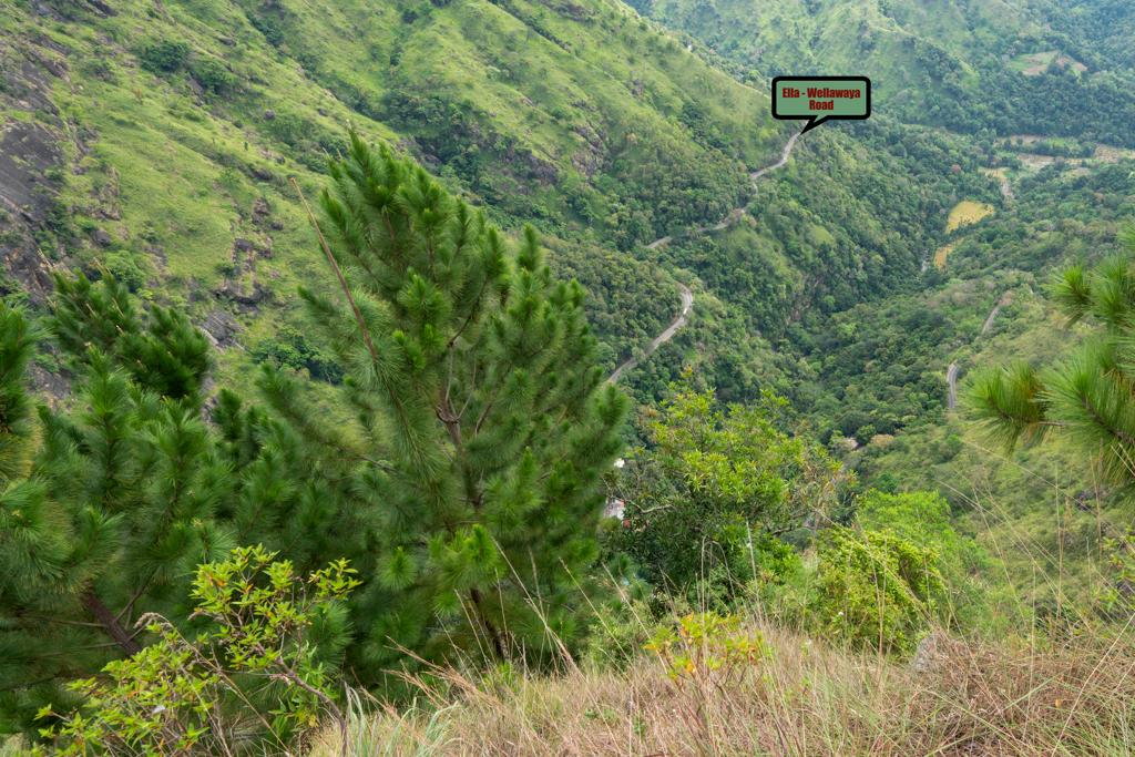 Ella Wellawaya Highway