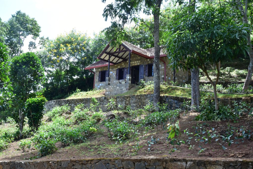 Kithul Cottage from Driveway