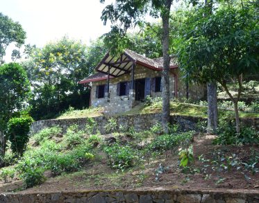 Kithul Cottage from Driveway